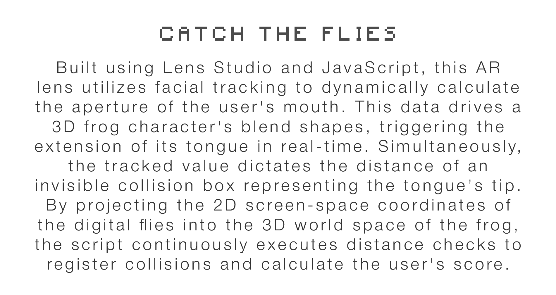 Catch the Flies Info